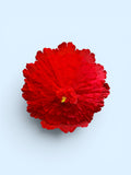 Flower Parasols