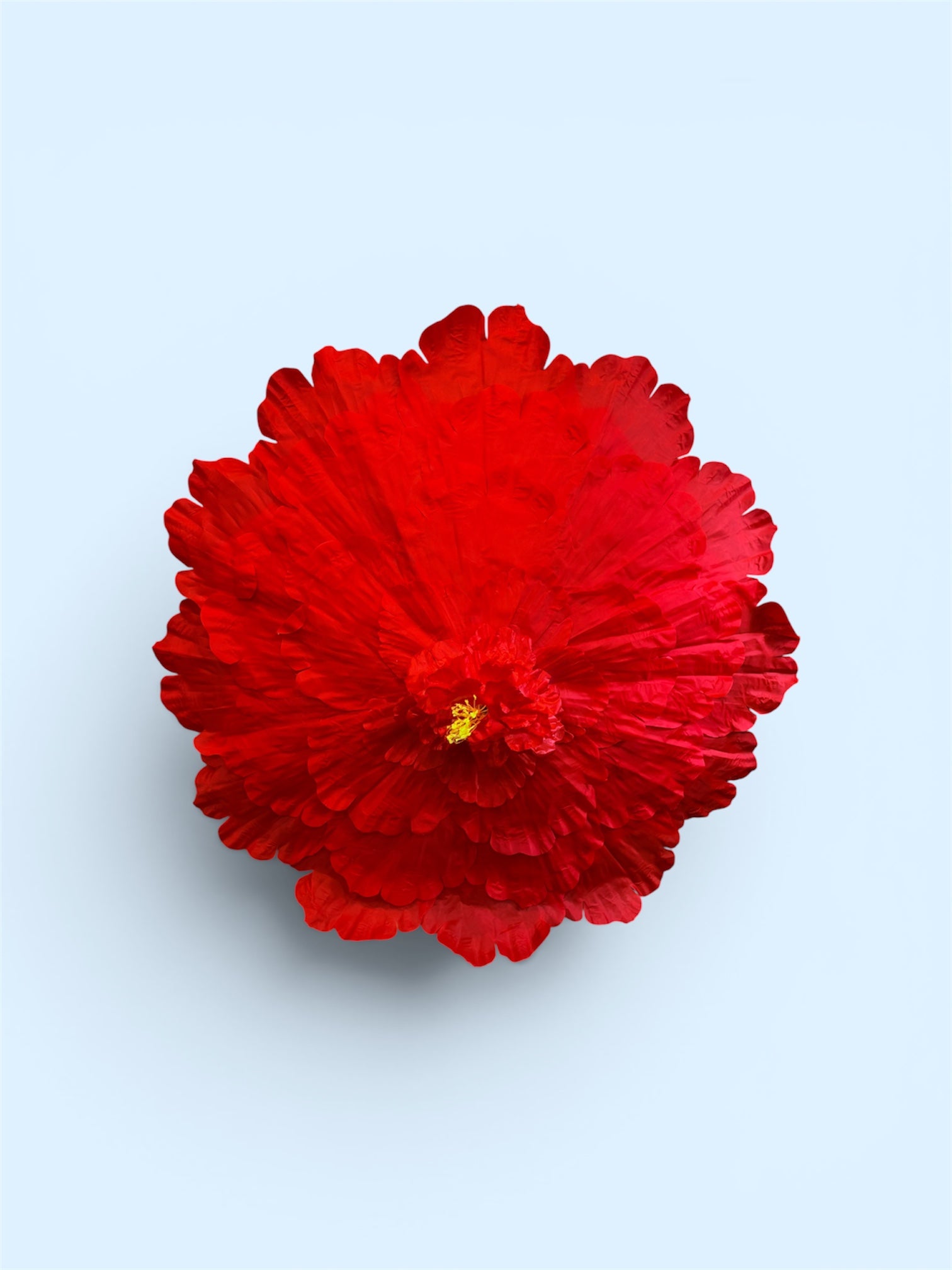 Flower Parasols