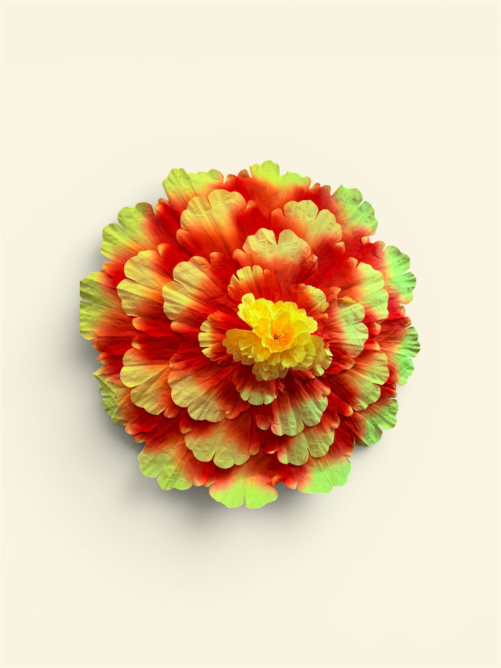 Flower Parasols