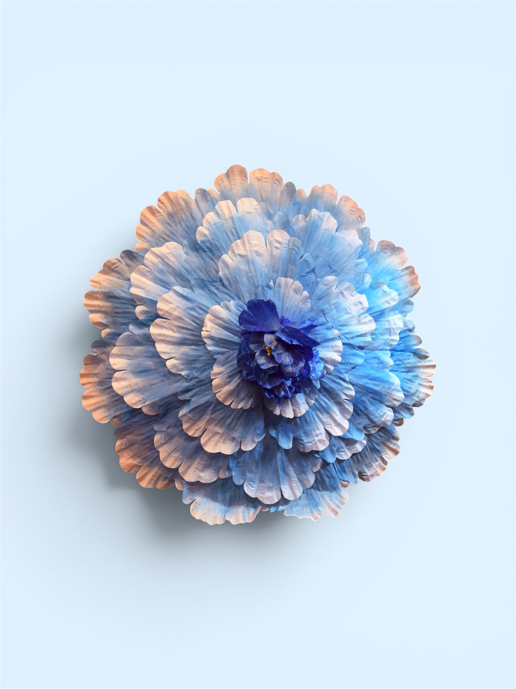 Flower Parasols