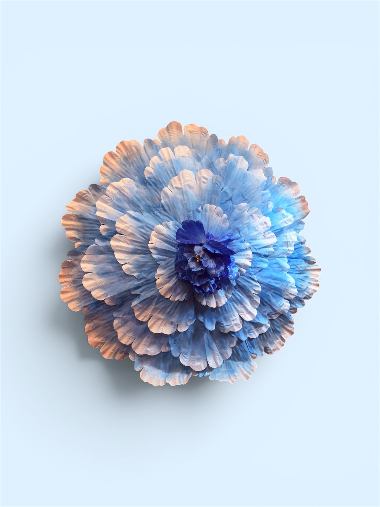 Flower Parasols