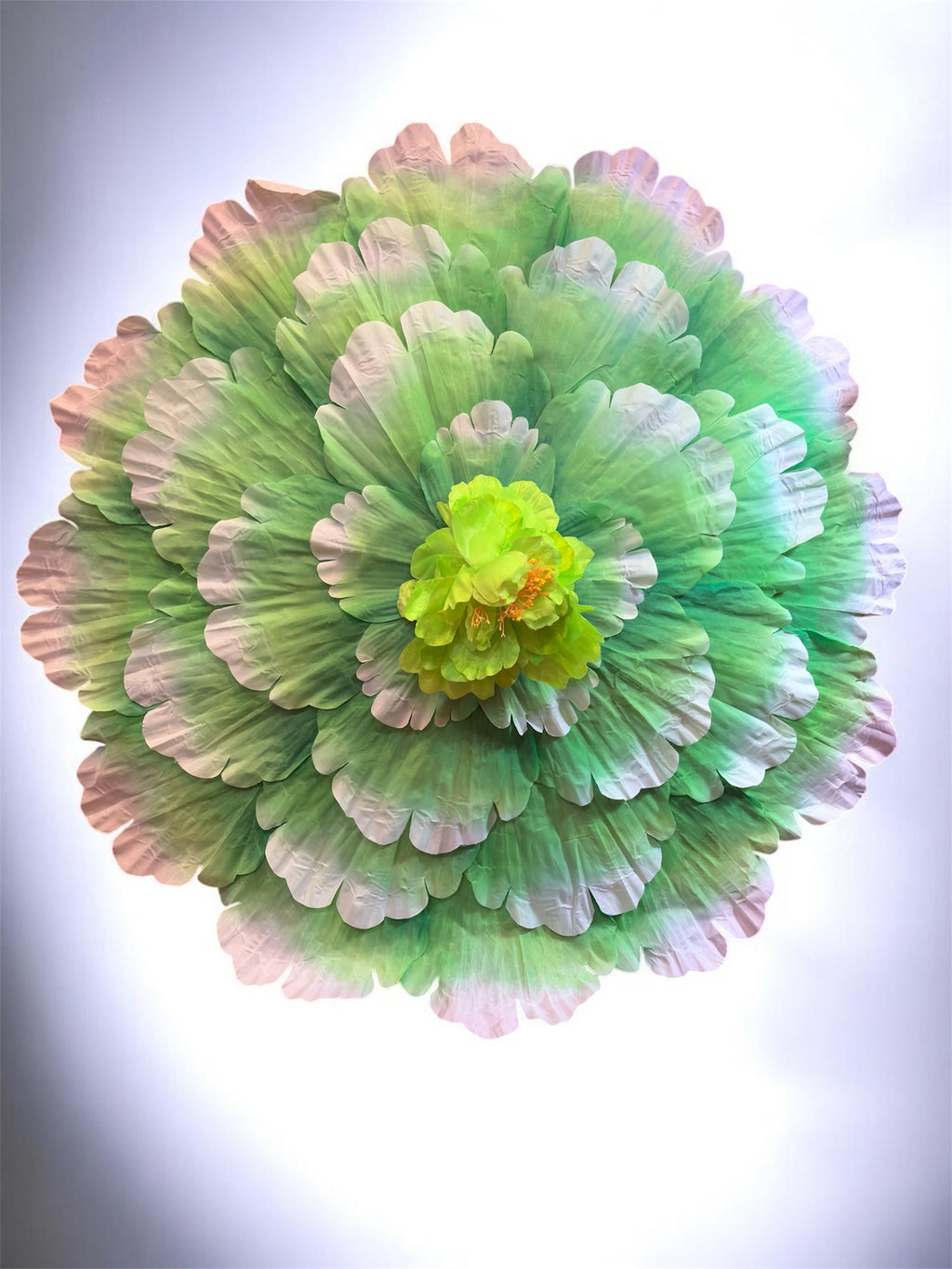 Flower Parasols